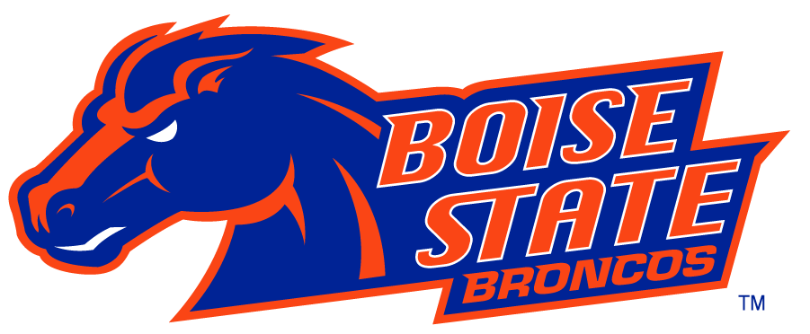 Boise State Broncos 2002-2012 Secondary Logo v23 DIY iron on transfer (heat transfer)